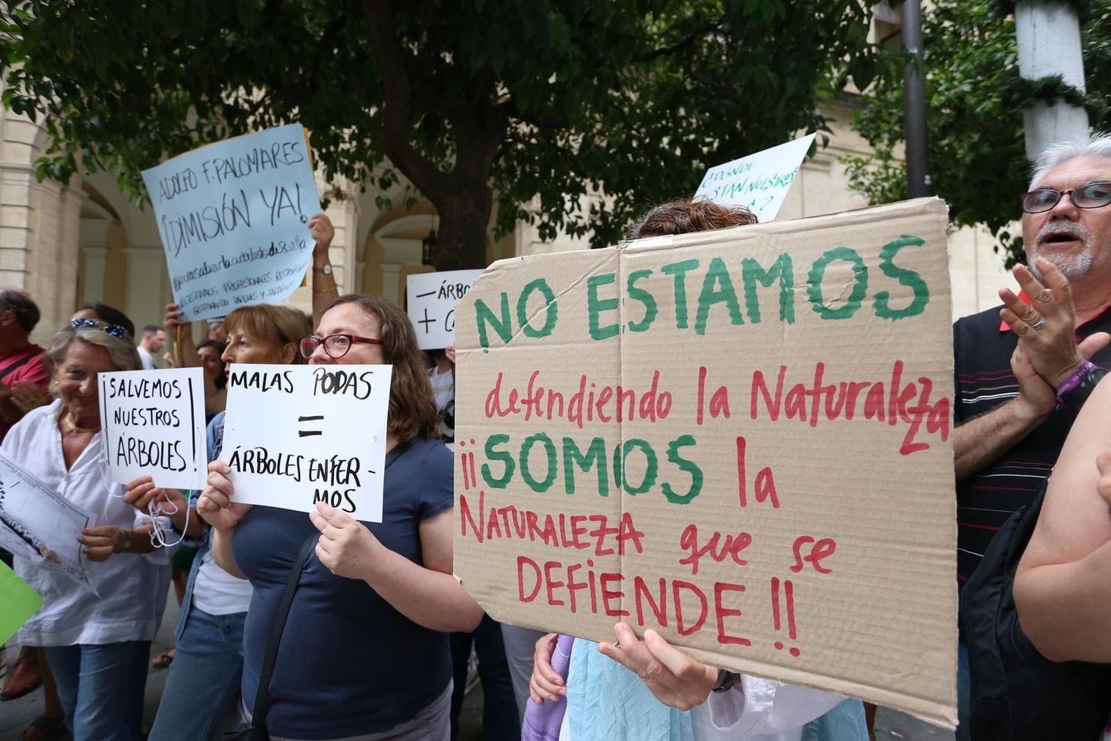 Protesta en la Plaza Nueva contra la tala de árboles