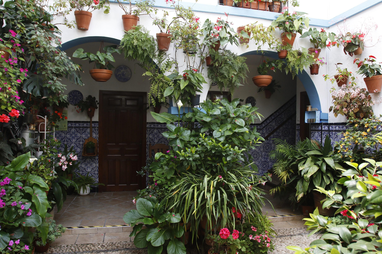 Los Patios de Córdoba en tiempos de crisis: Pedro Fernández, 6