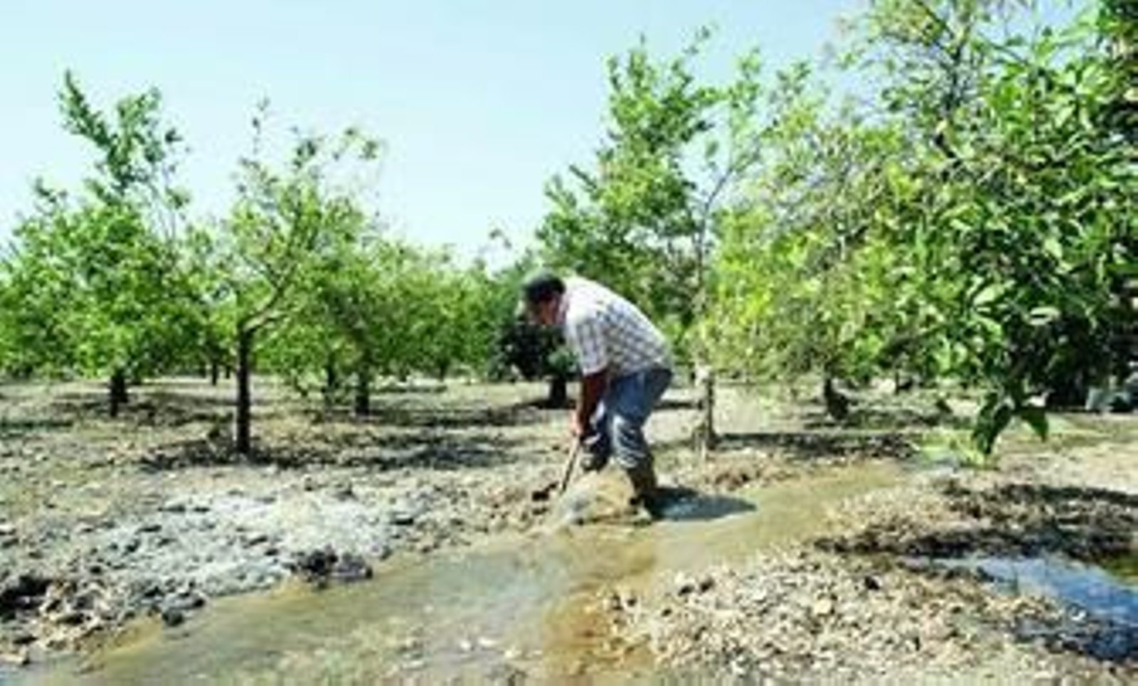 Los usos tradicionales agrícolas es lo que pretende poner en valor el nuevo centro temático que se instalará en el poblado minero de Rodalquilar.
