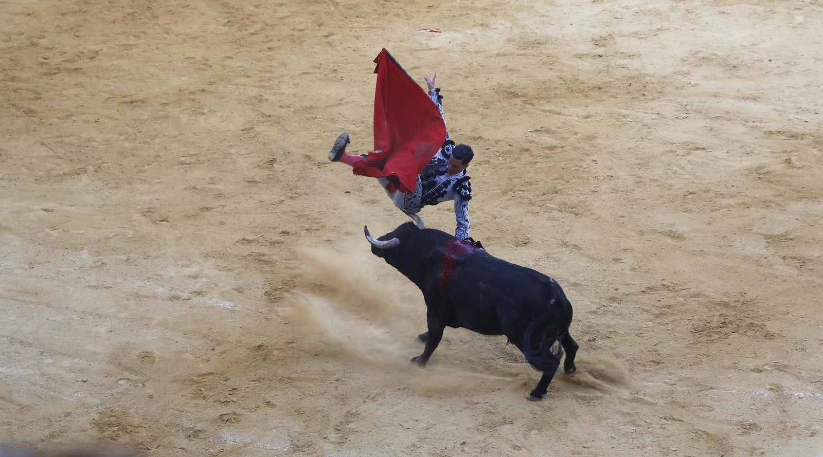 Las fotos de la corrida de toros de David Galván, Daniel Luque y Joaquín Galdós en San Roque