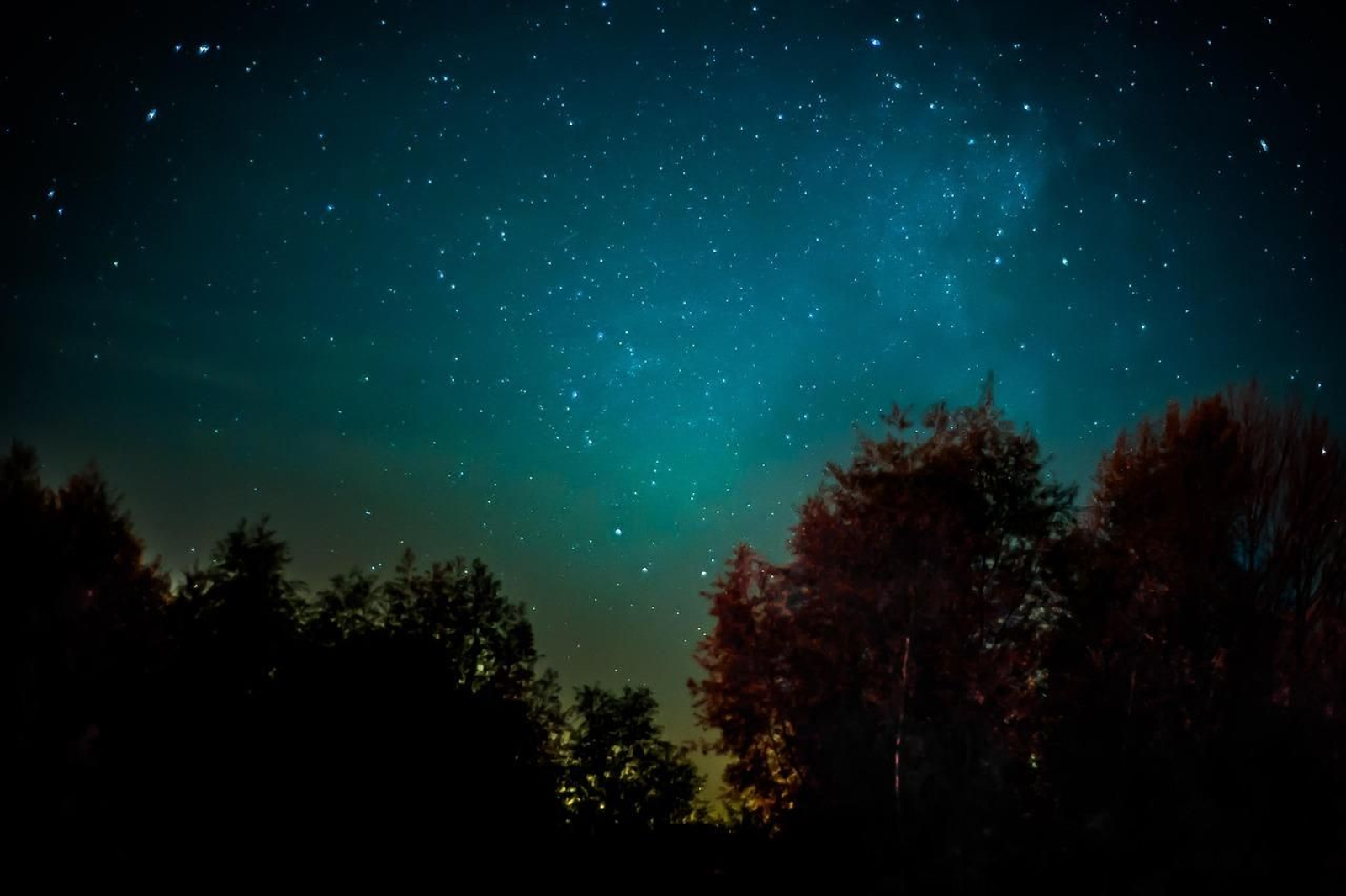 Cielo estrellado.