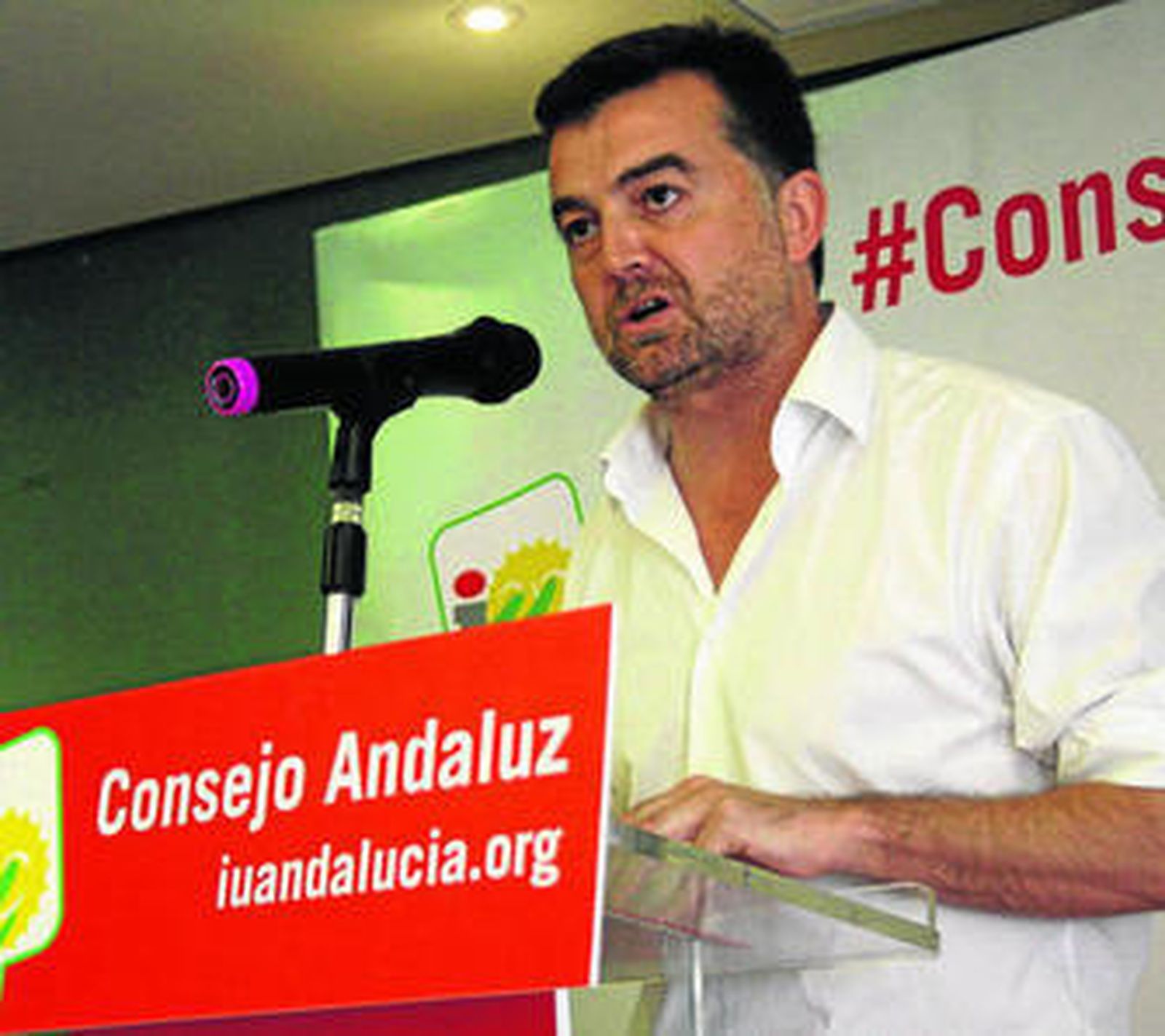 El coordinador autonómico de IU, Antonio Maillo, durante una intervención.