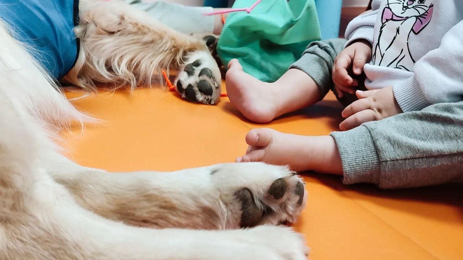 Niños en un hospital disfrutando de la participando de perros para intervenciones asistidas. Niños en un hospital disfrutando de la participando de perros para intervenciones asistidas.