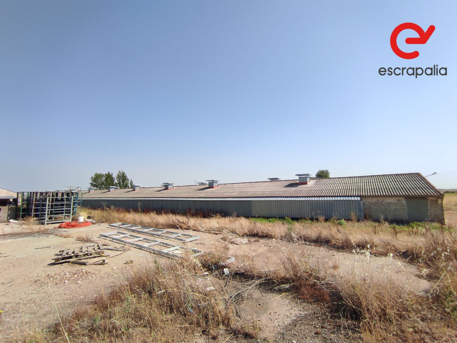 La granja de 43.000 metros cuadrados a subasta por 1 euro