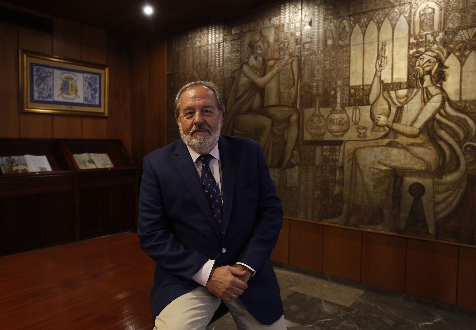 Alfonso Carmona, presidente del Colegio de Médicos de Sevilla.