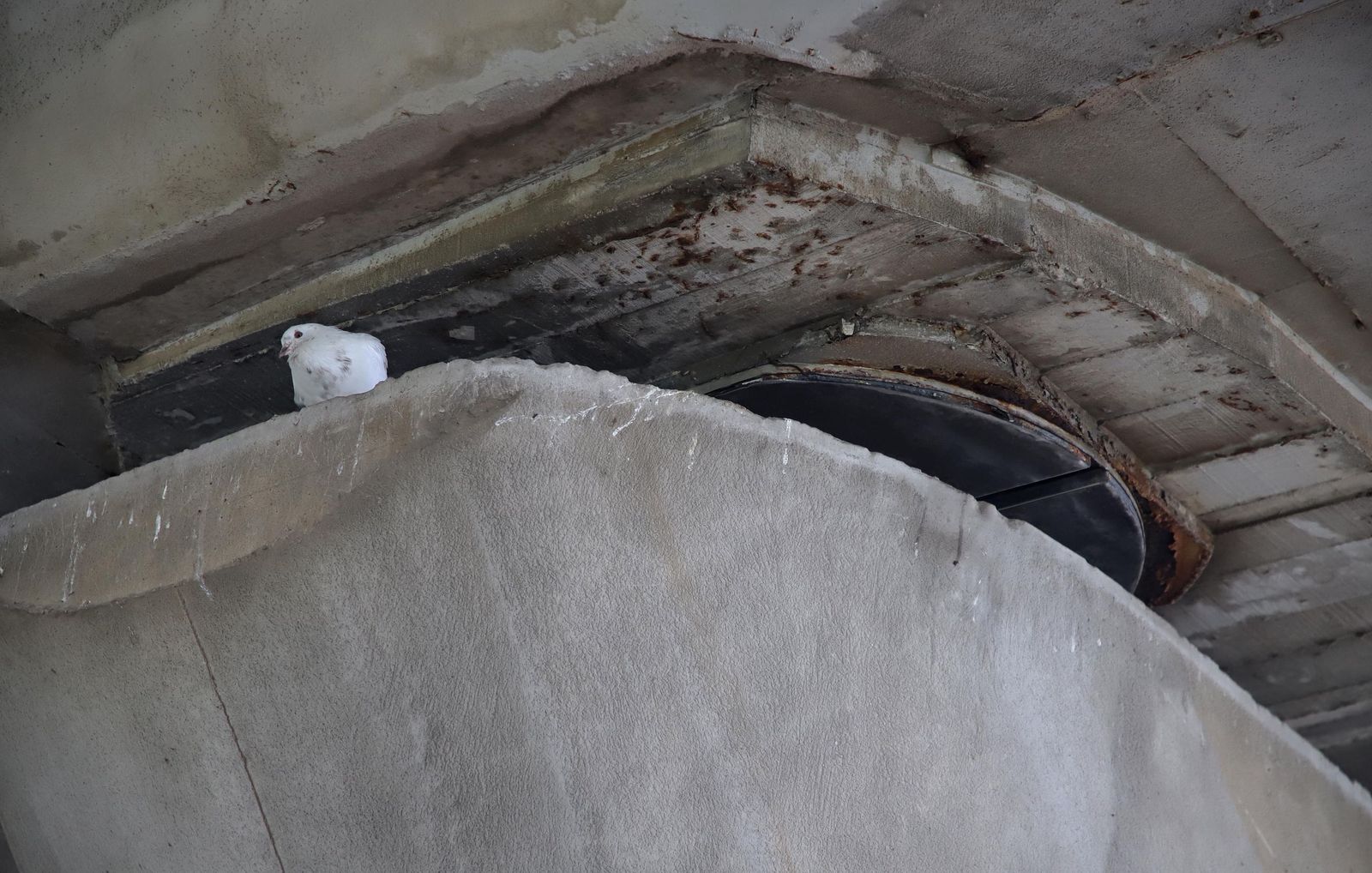 Las imágenes de los daños en el puente del Acceso Norte a Algeciras que encienden las alertas