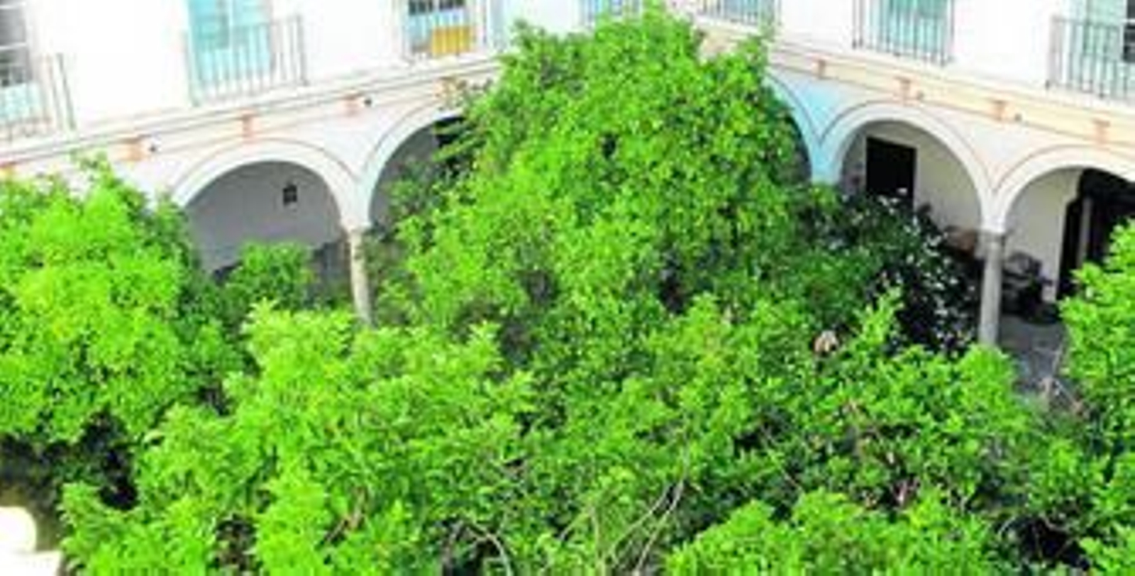La vegetación llena todo el claustro mayor.