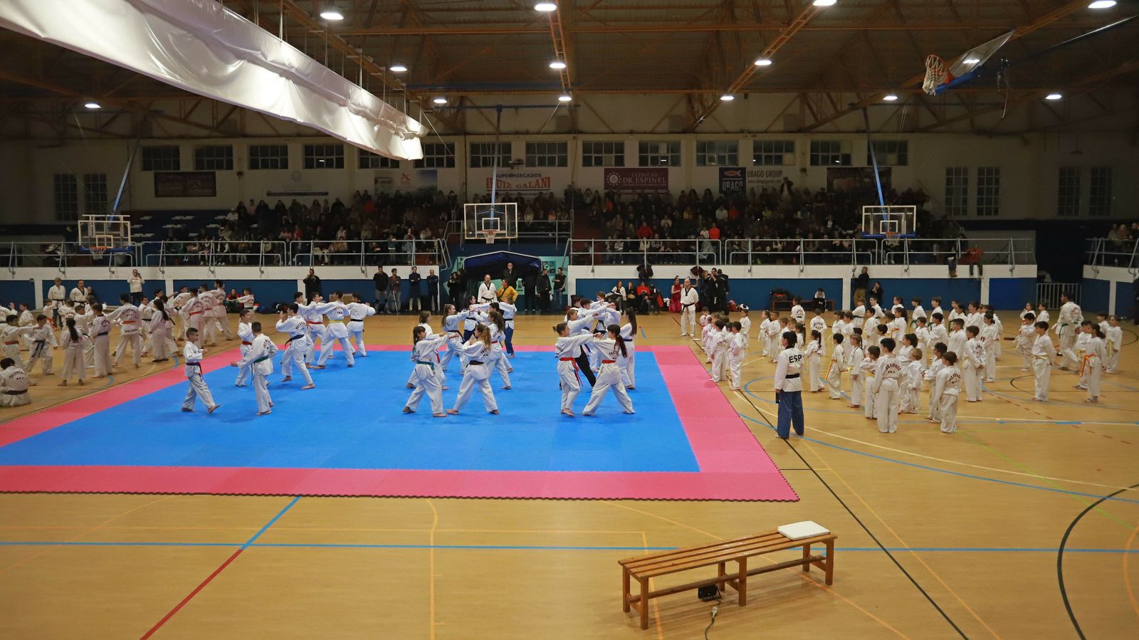 Las mejores fotos de la exhibición de Seul Gym en La Línea