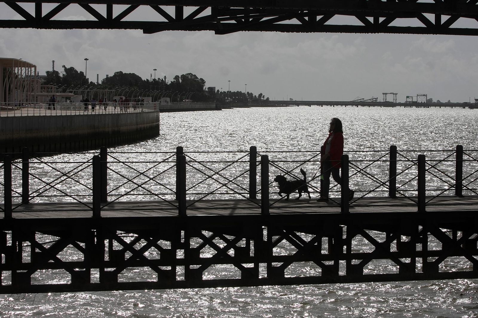 Imágenes del domingo 29 de octubre en Huelva