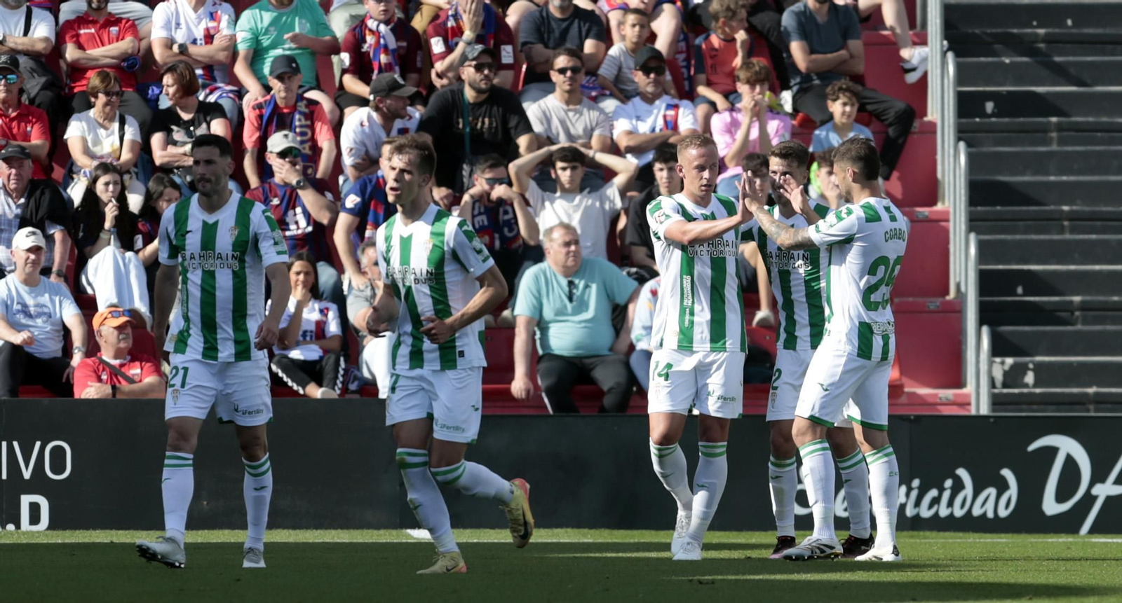 Las mejores fotos del Eldense - Córdoba CF en el Nuevo Pepico Amat