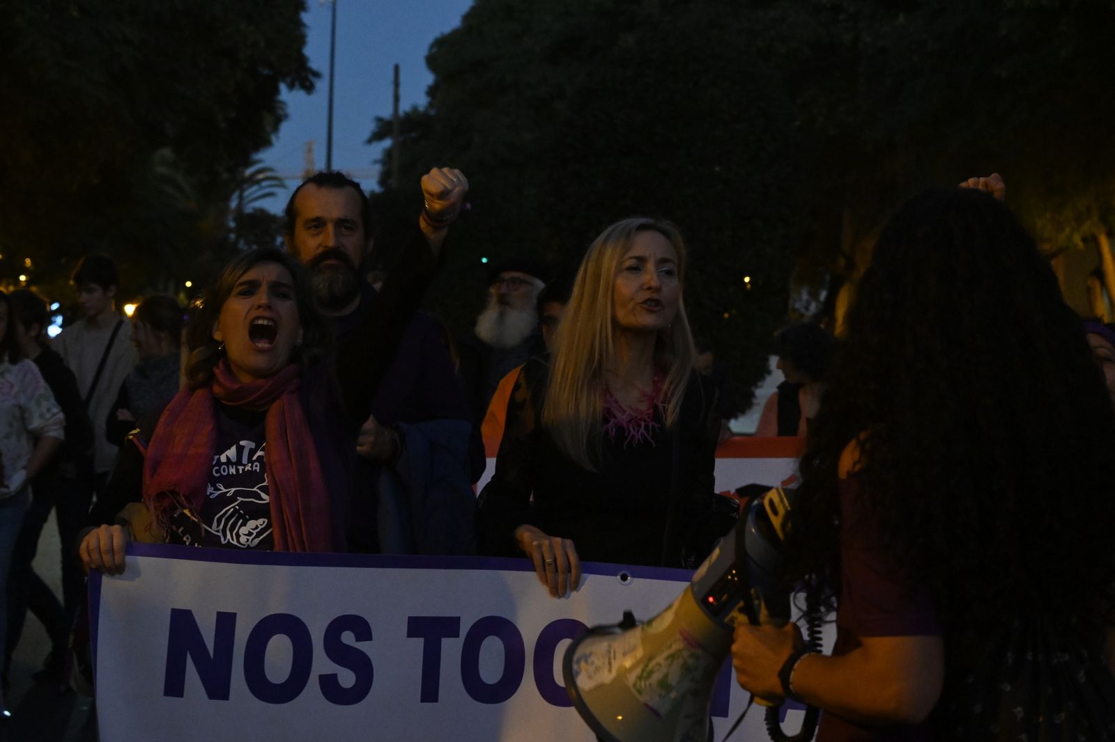 Manifestación del 25N en Imágenes.