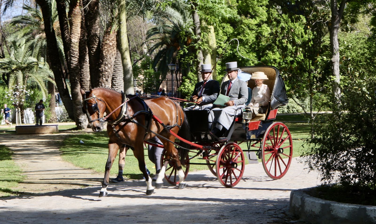 X copa CIAT   Concurso de Enganches