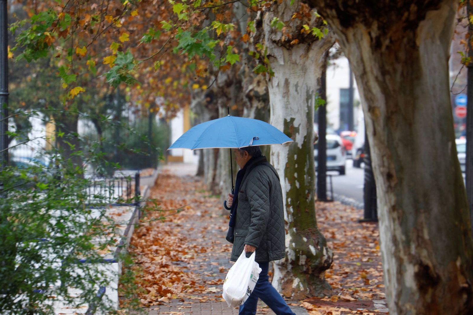 El paso de la borrasca Goretti por Córdoba