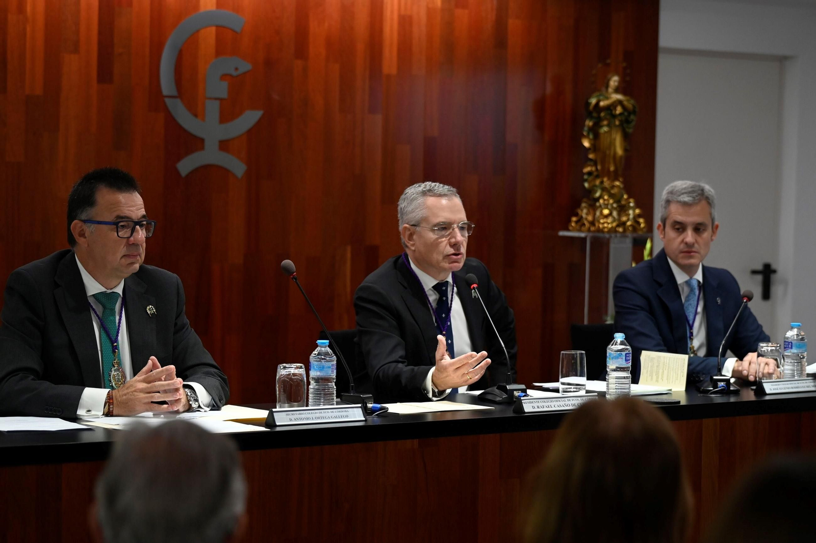 El Colegio de Farmacéuticos de Córdoba celebra la festividad de su patrona, la Inmaculada, en imágenes