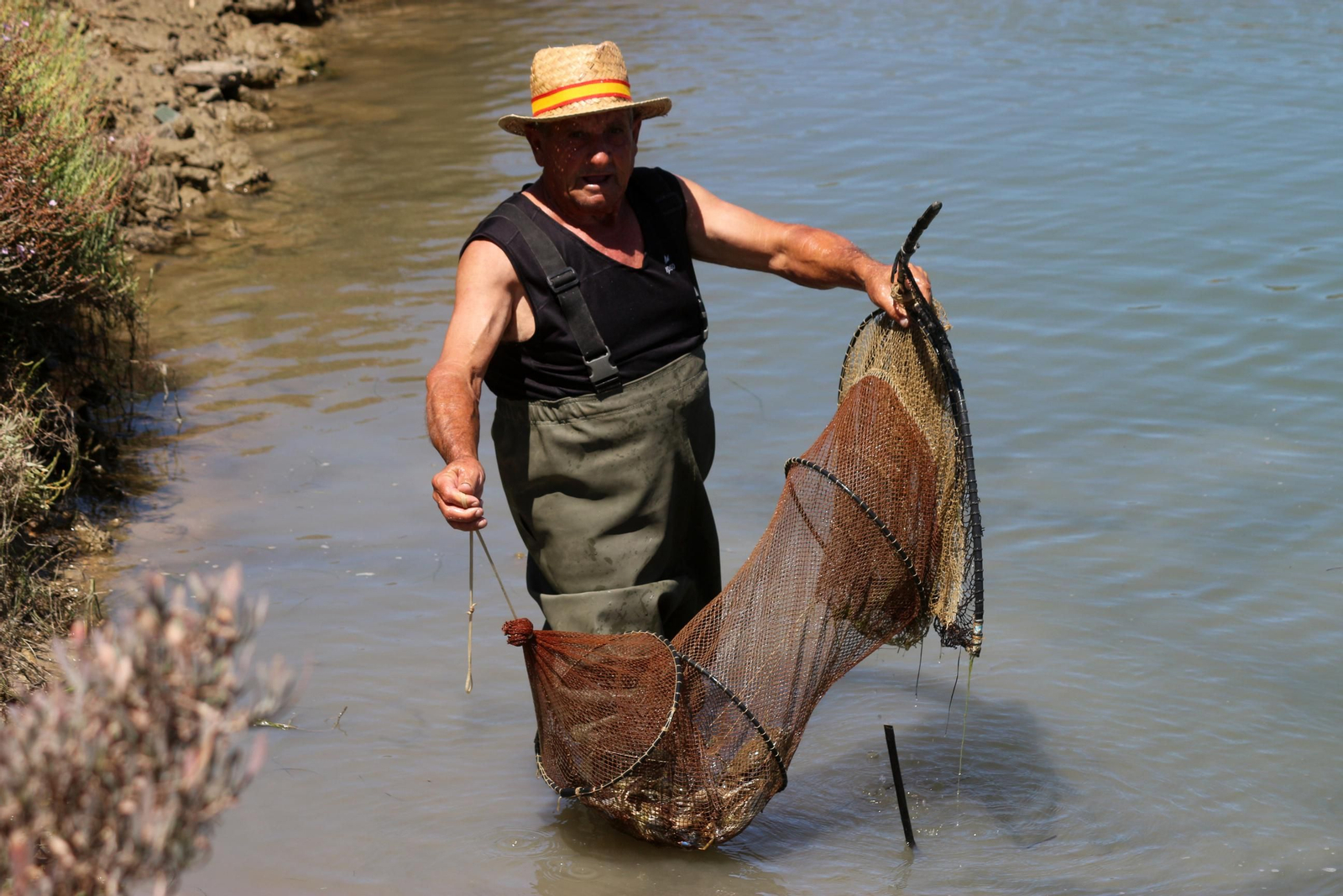 La recuperación de la Salina Balbanera, en imágenes