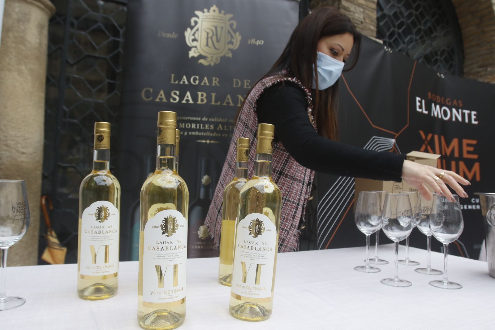 La presentación en sociedad de los vinos nuevos de Moriles y Montilla, en imágenes