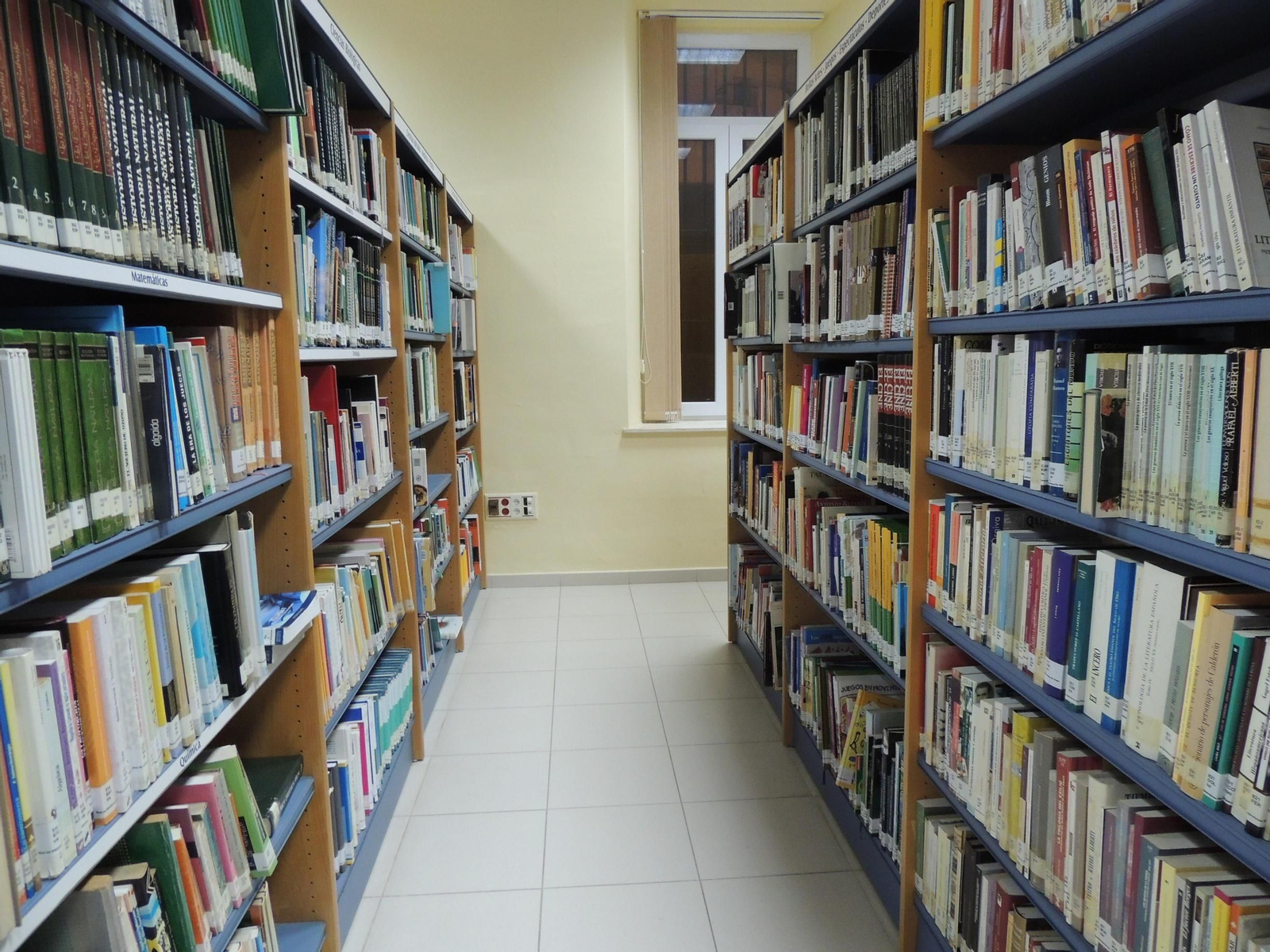 Fotografía de archivo de una biblioteca  de San  Roque.