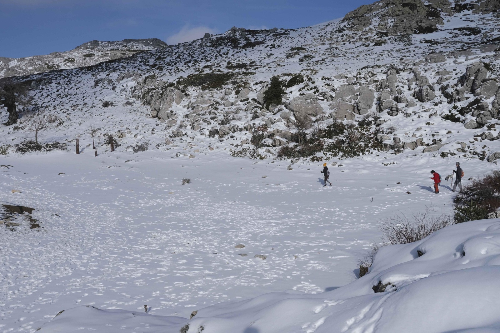 El blanco viste el Parque Nacional de la Sierra de las Nieves. El blanco viste el Parque Nacional de la Sierra de las Nieves.