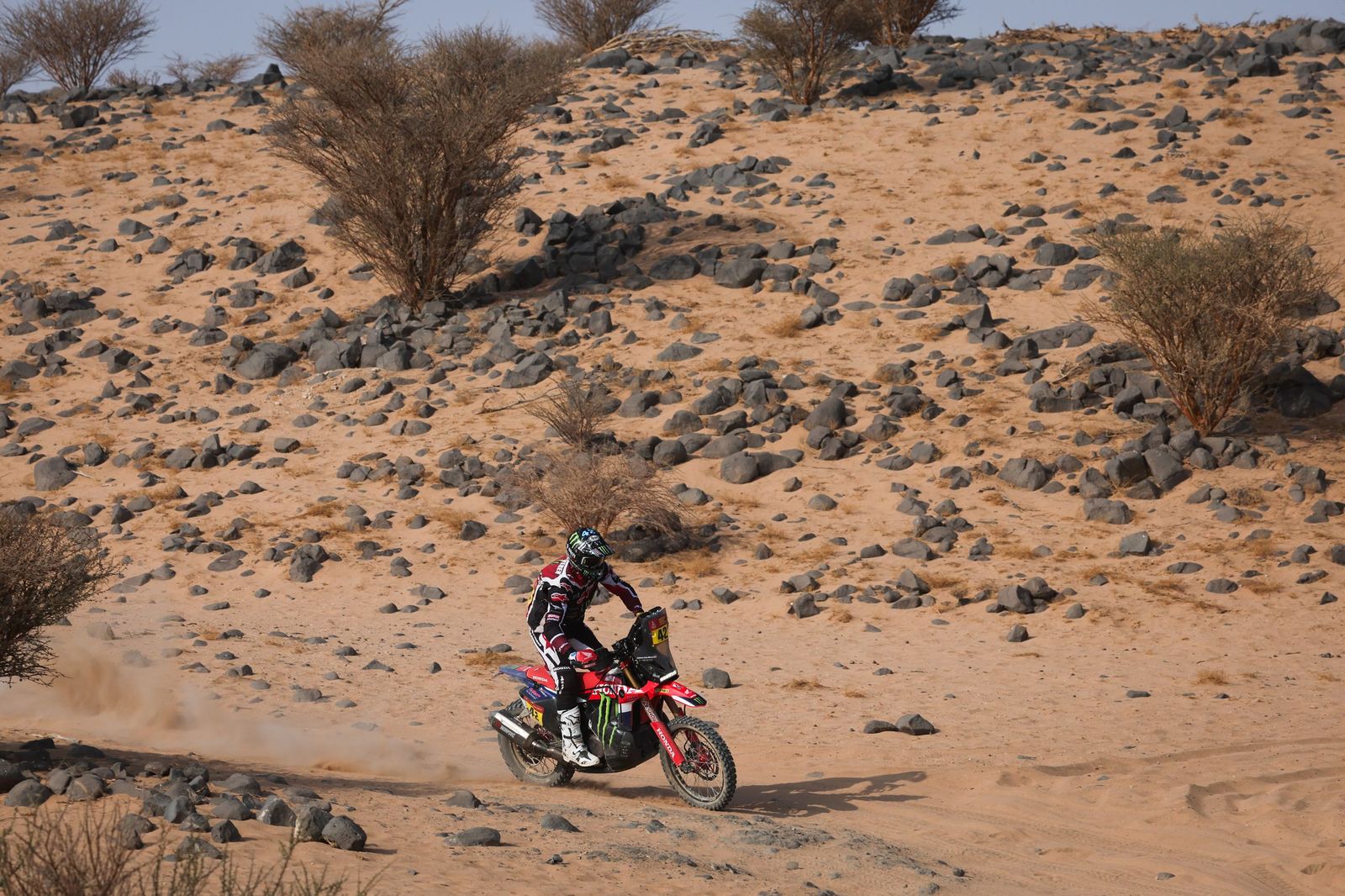 Las mejores fotos del Rally Dakar | undécima etapa