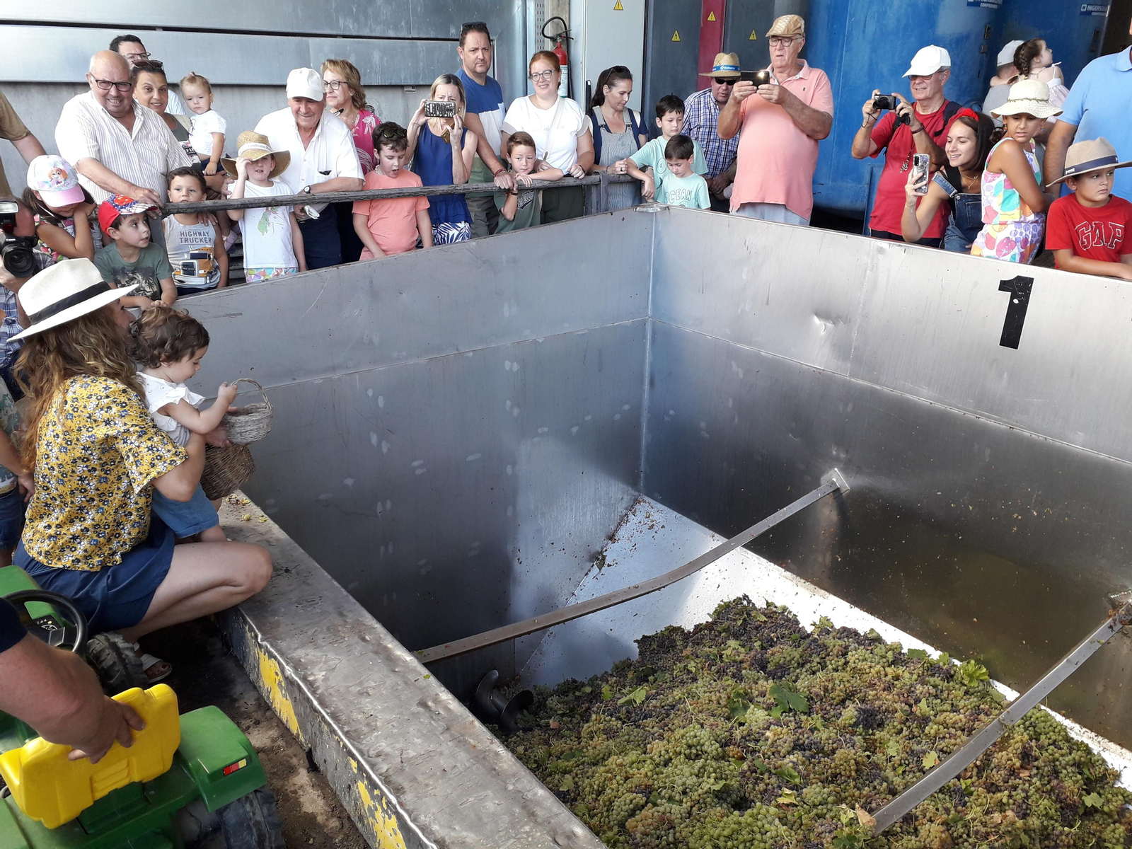 La primera vendimia infantil de Montilla, en imágenes