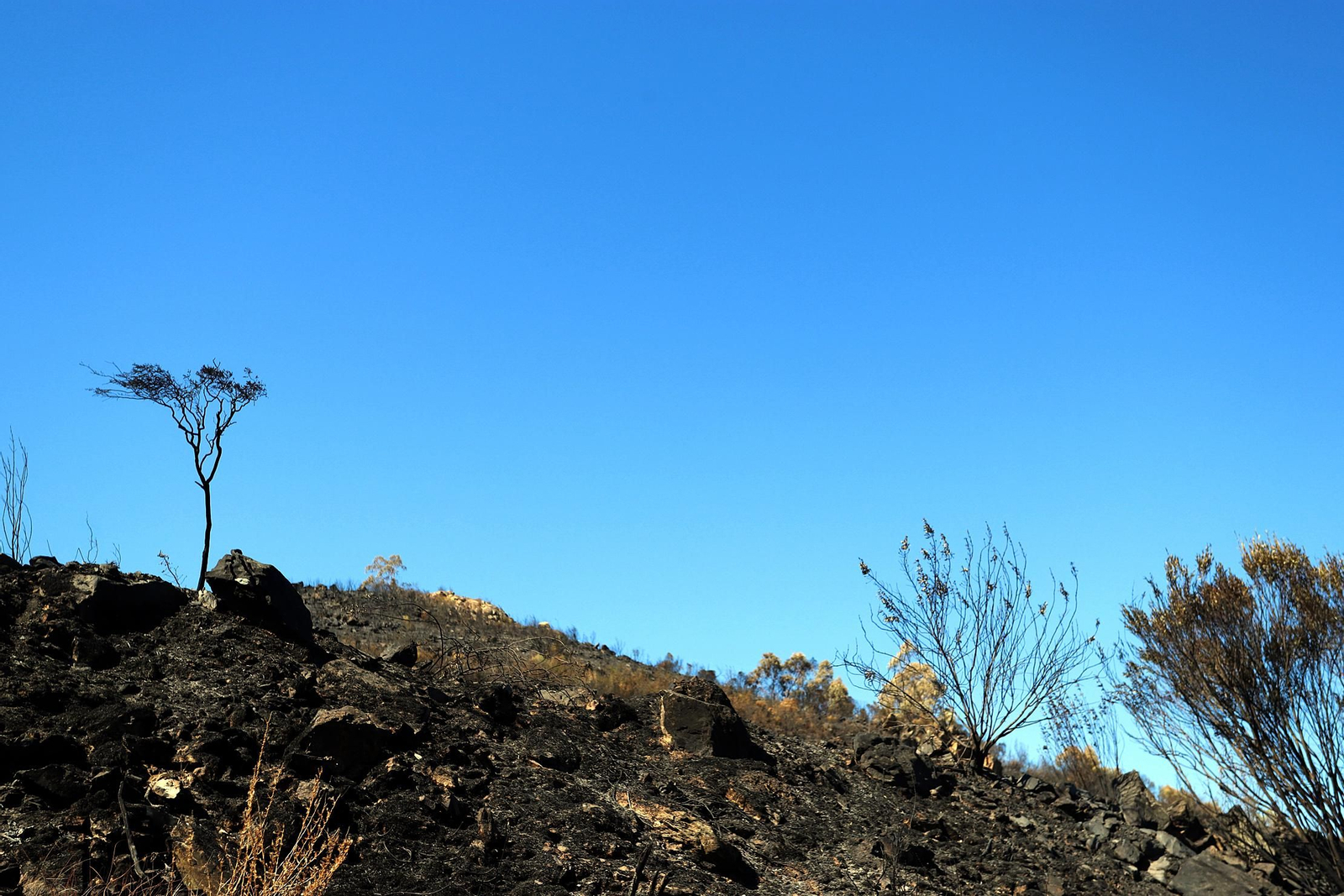 Imágenes de las zonas devastadas por el incendio de Almonaster la Real