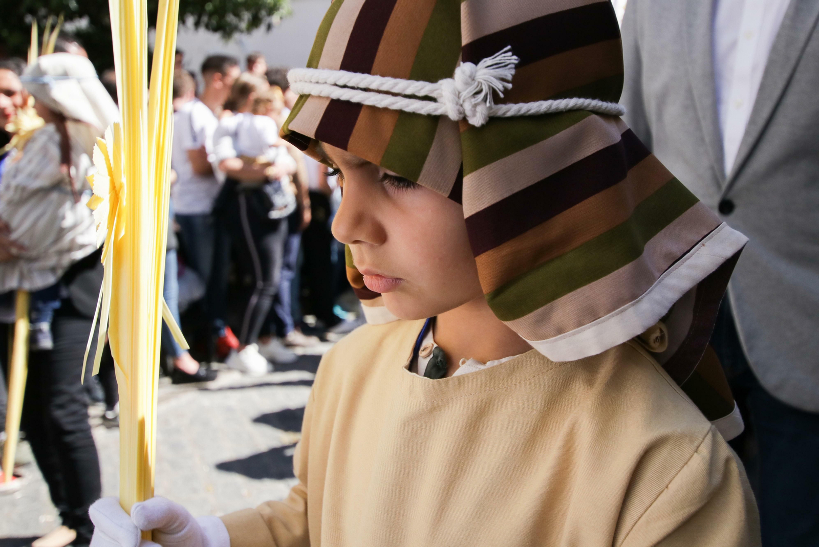 Galería de fotos de La Borriquilla en un soleado Domingo de Ramos