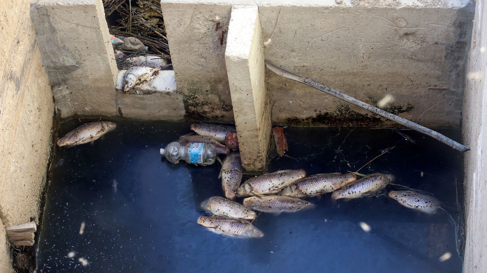 Abandono del río Guadalete a su paso por Jerez
