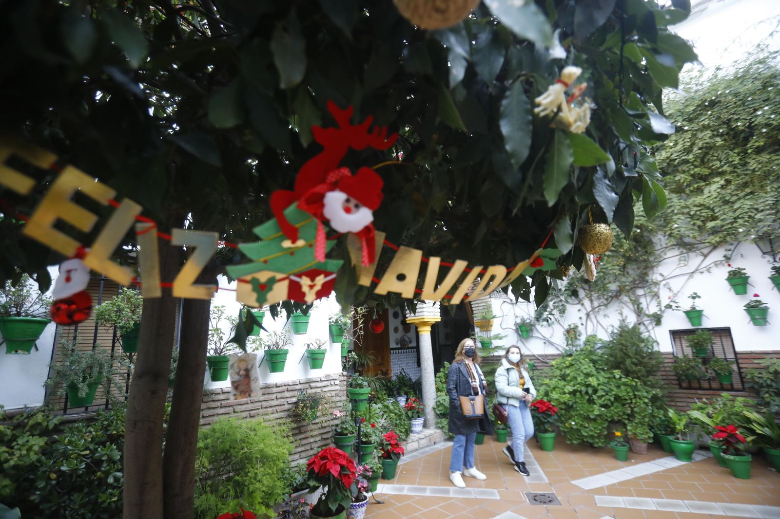 El laurel de Parras, 8 adornado con motivos navideños.