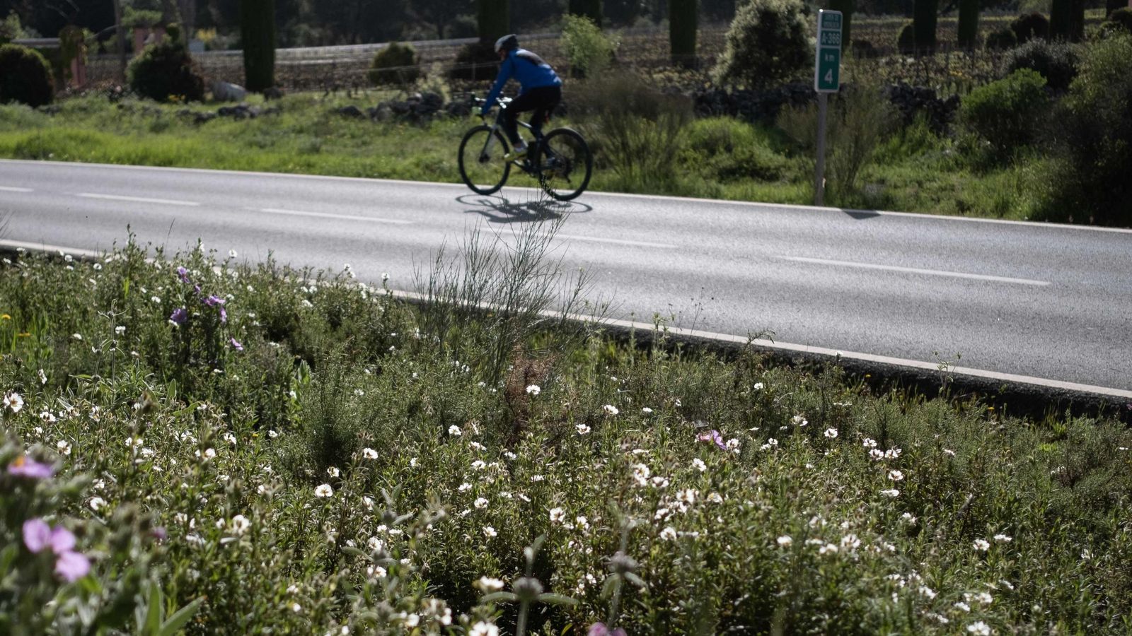 Las laterales de las carreteras se han llenado de color.