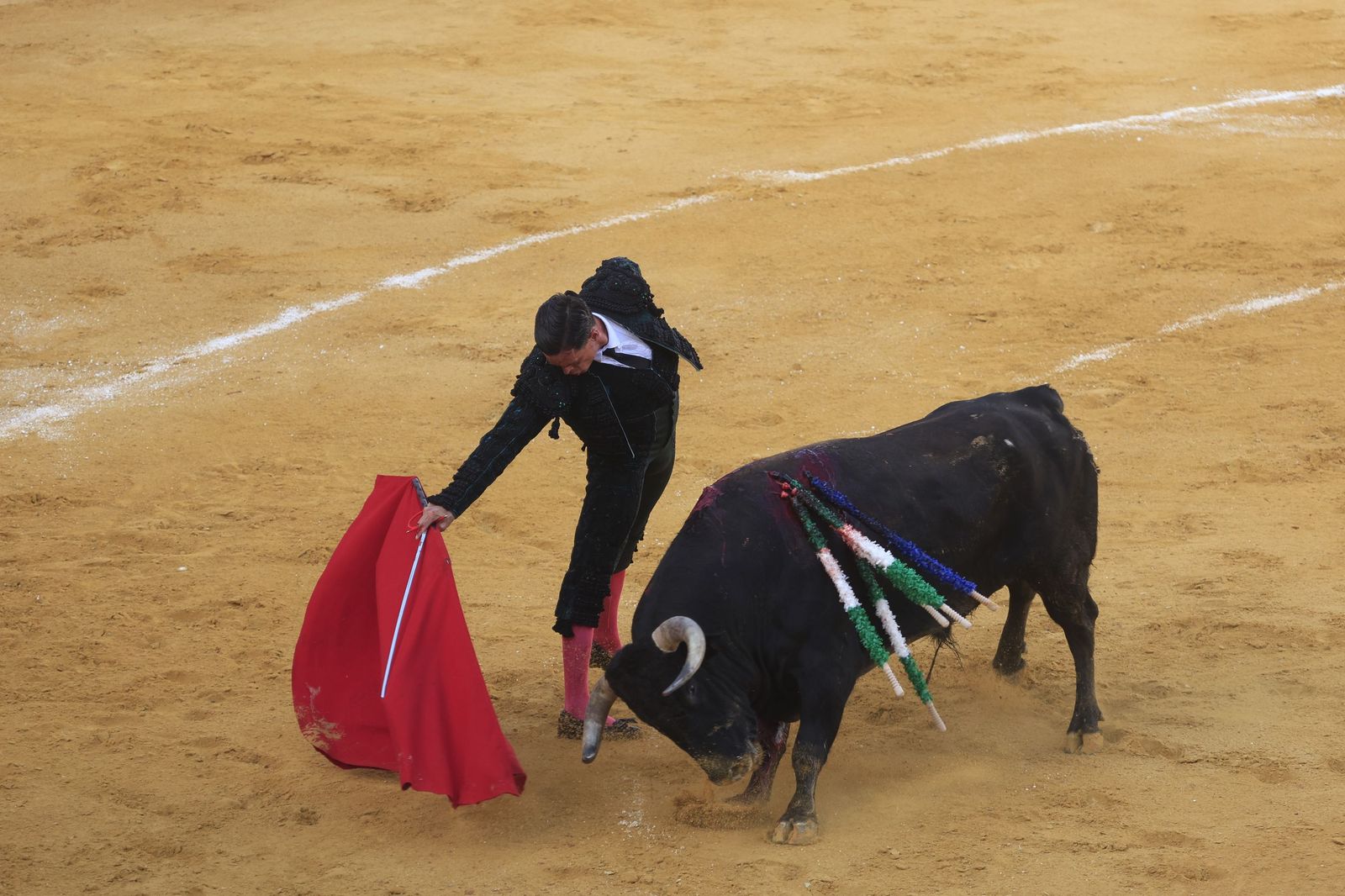 Fotos de la corrida de toros de la Feria de San Roque con David Galván, Román y Joaquín Galdós