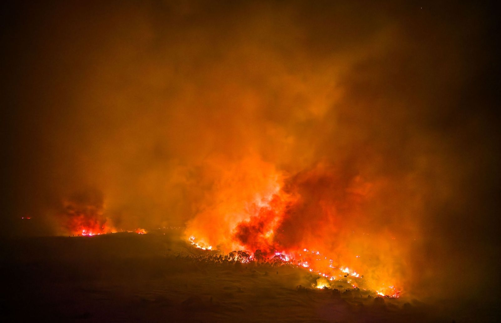 Las llamas convierten en una tumba al aire libre El Pantanal en Brasil
