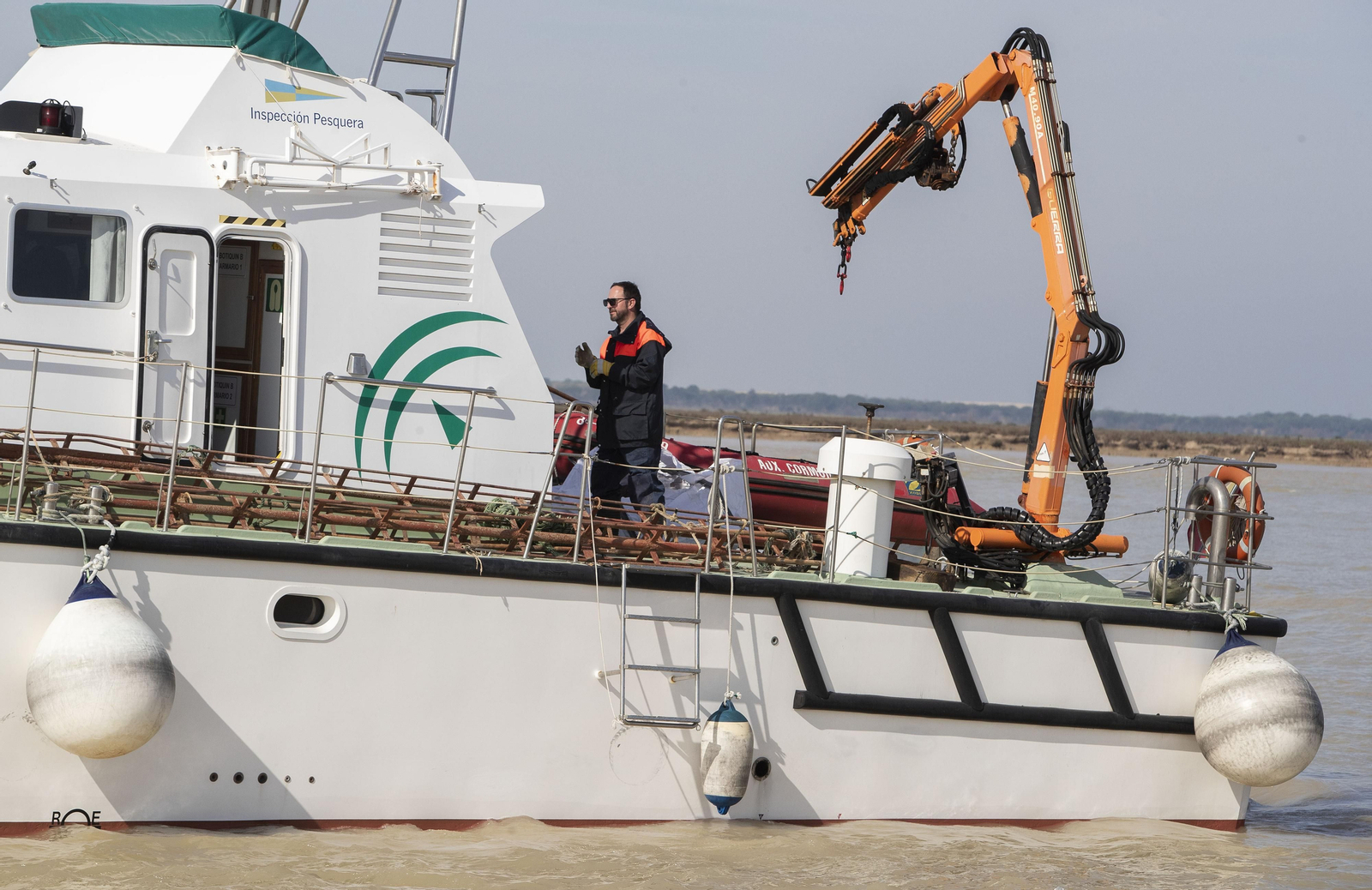 Operación Ave  fenix contra la pesca  de la angula