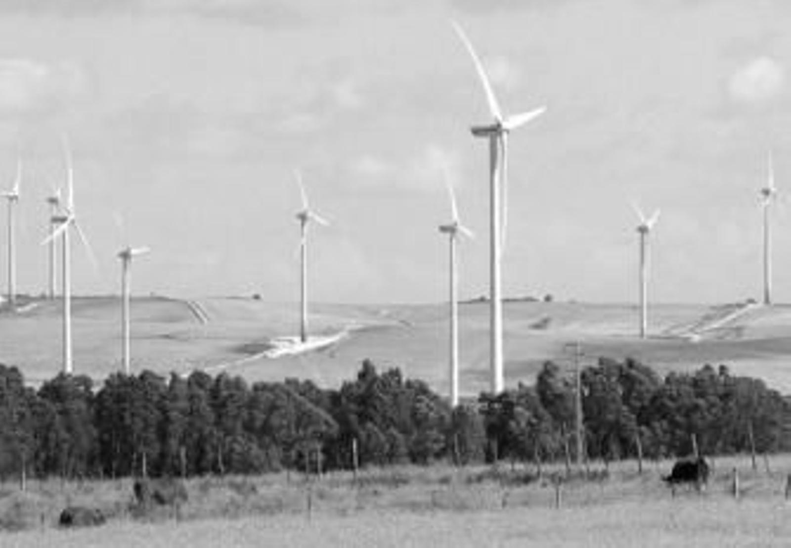 Los aerogeneradores están ya preparados para entrar en funcionamiento en Cortijo de Guerra.