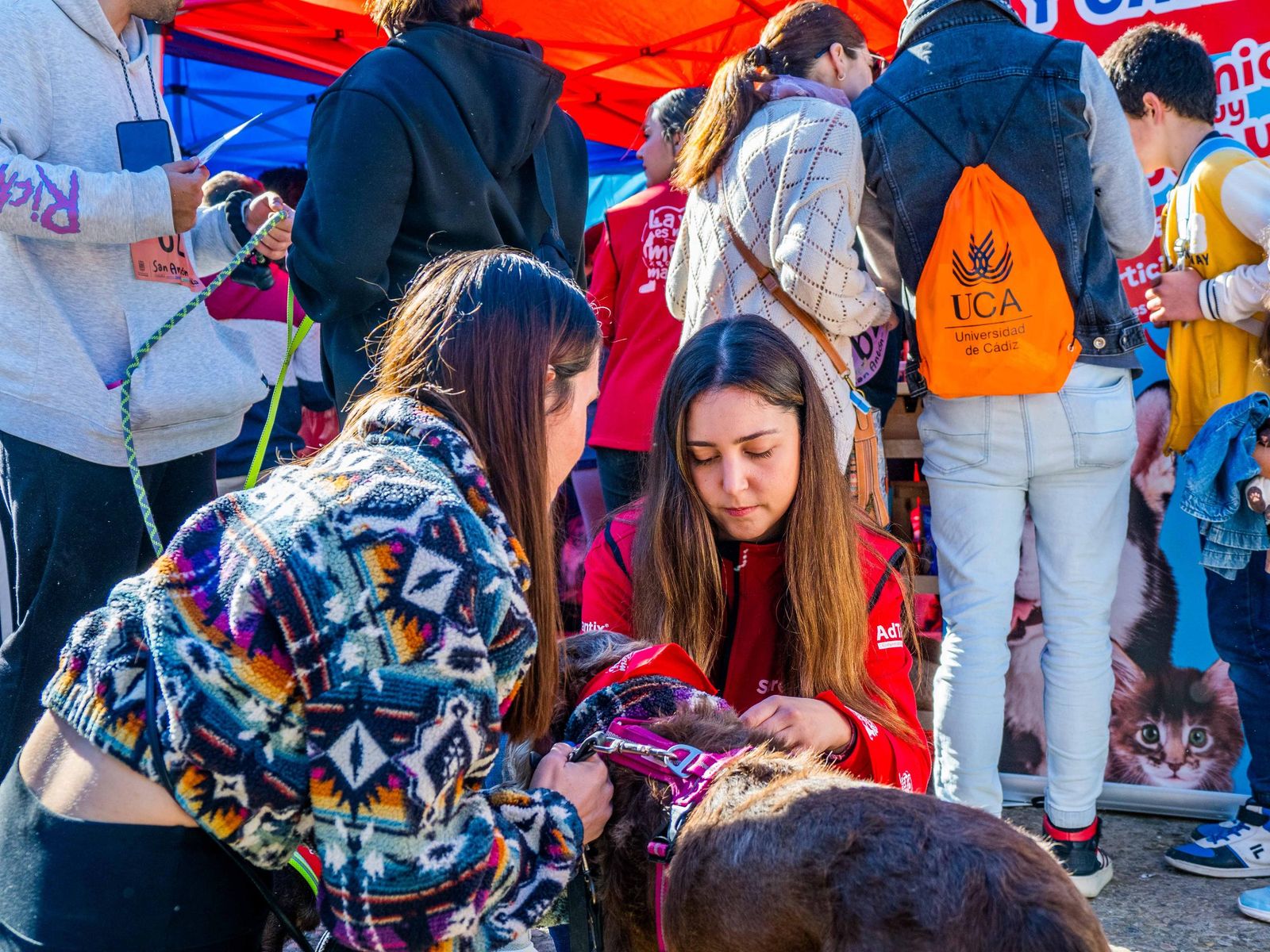 Las imágenes de San Antón 2025 en San Fernando
