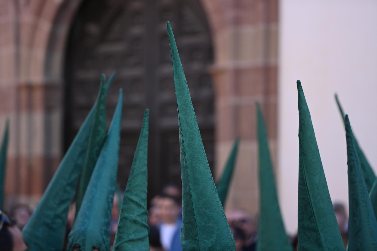 Las fotos de Pollinica en su procesión del Domingo de Ramos en Málaga