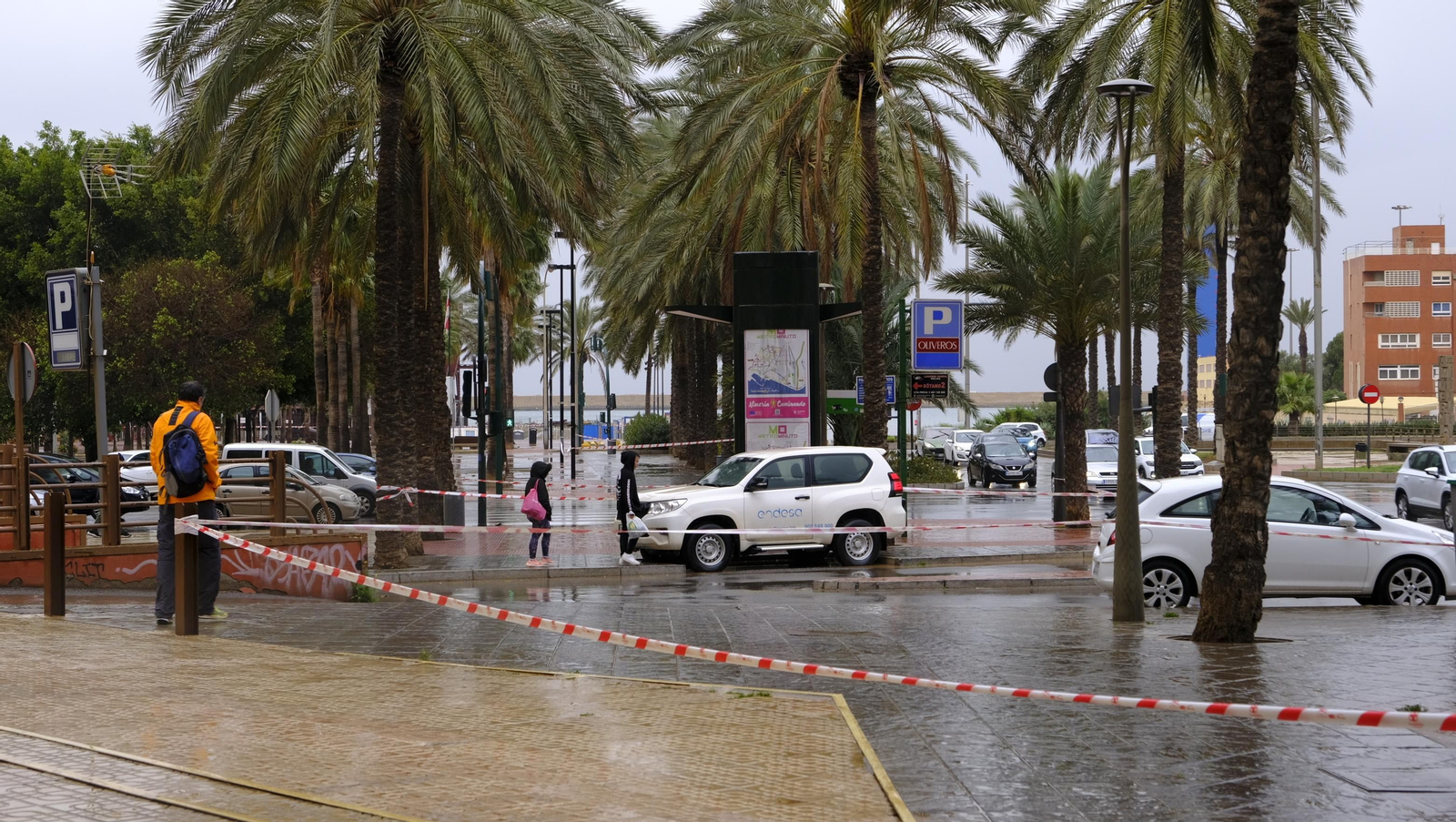 Imágenes de la acotación de palmeras. Almería