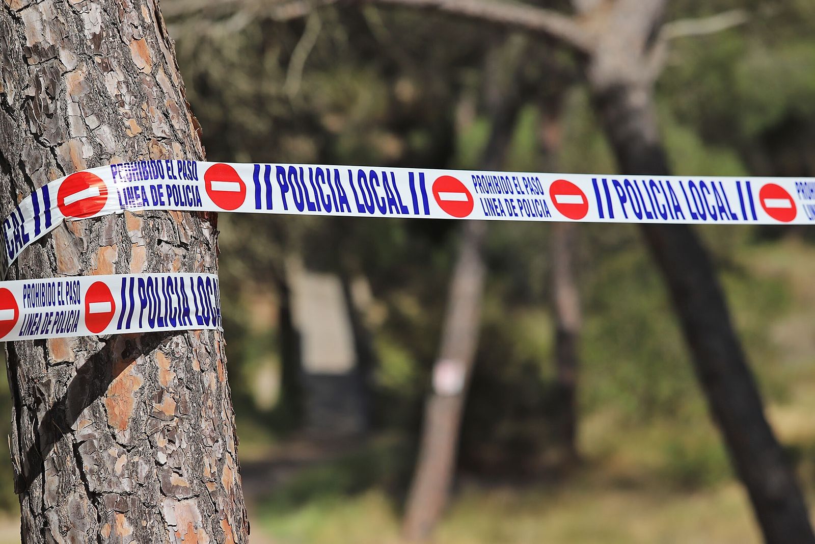 El incendio de El Portil ya está controlado después de más de un día de trabajo.