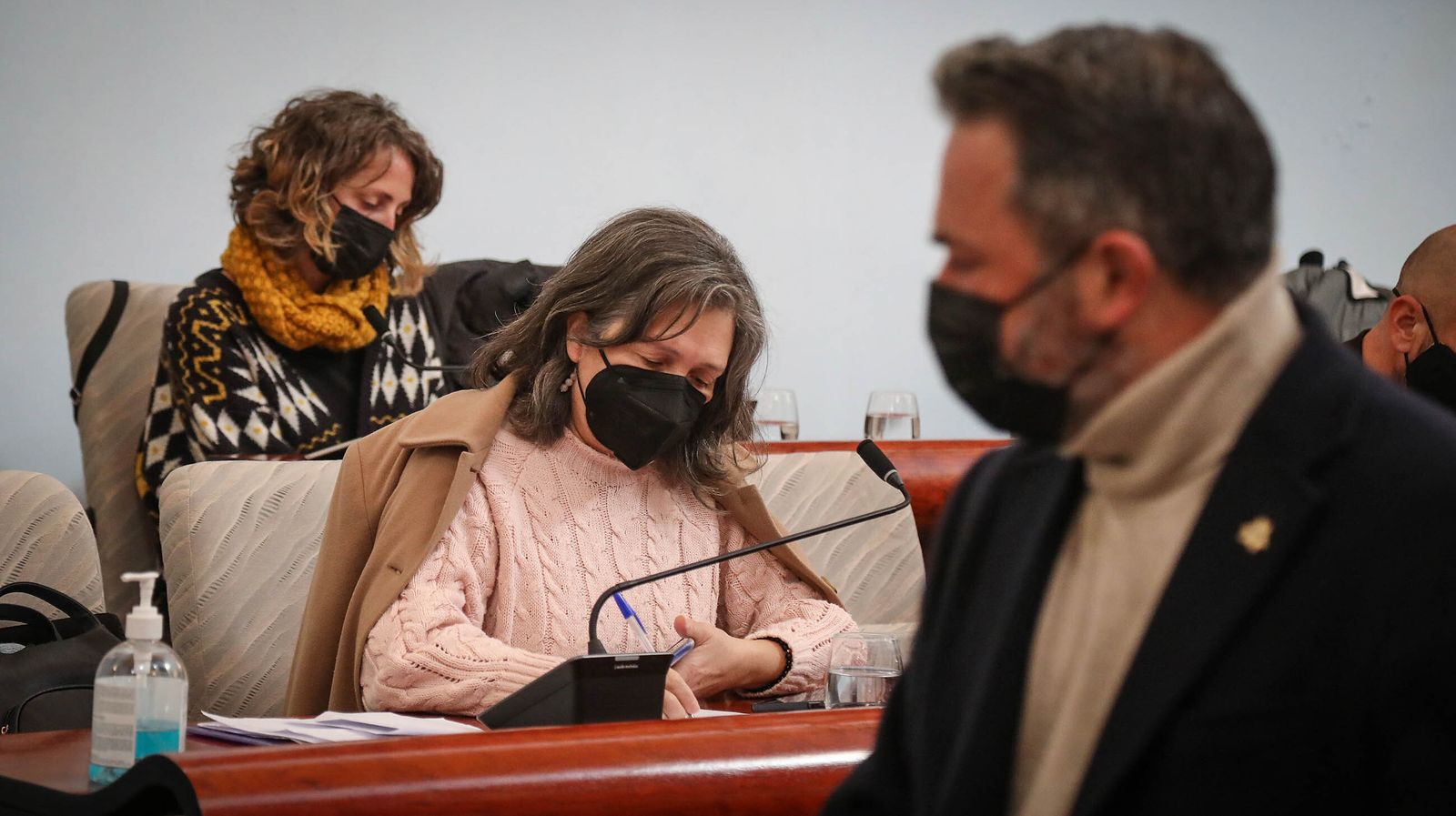 La concejala Rocío Monedero, durante el pleno celebrado semanas atrás.