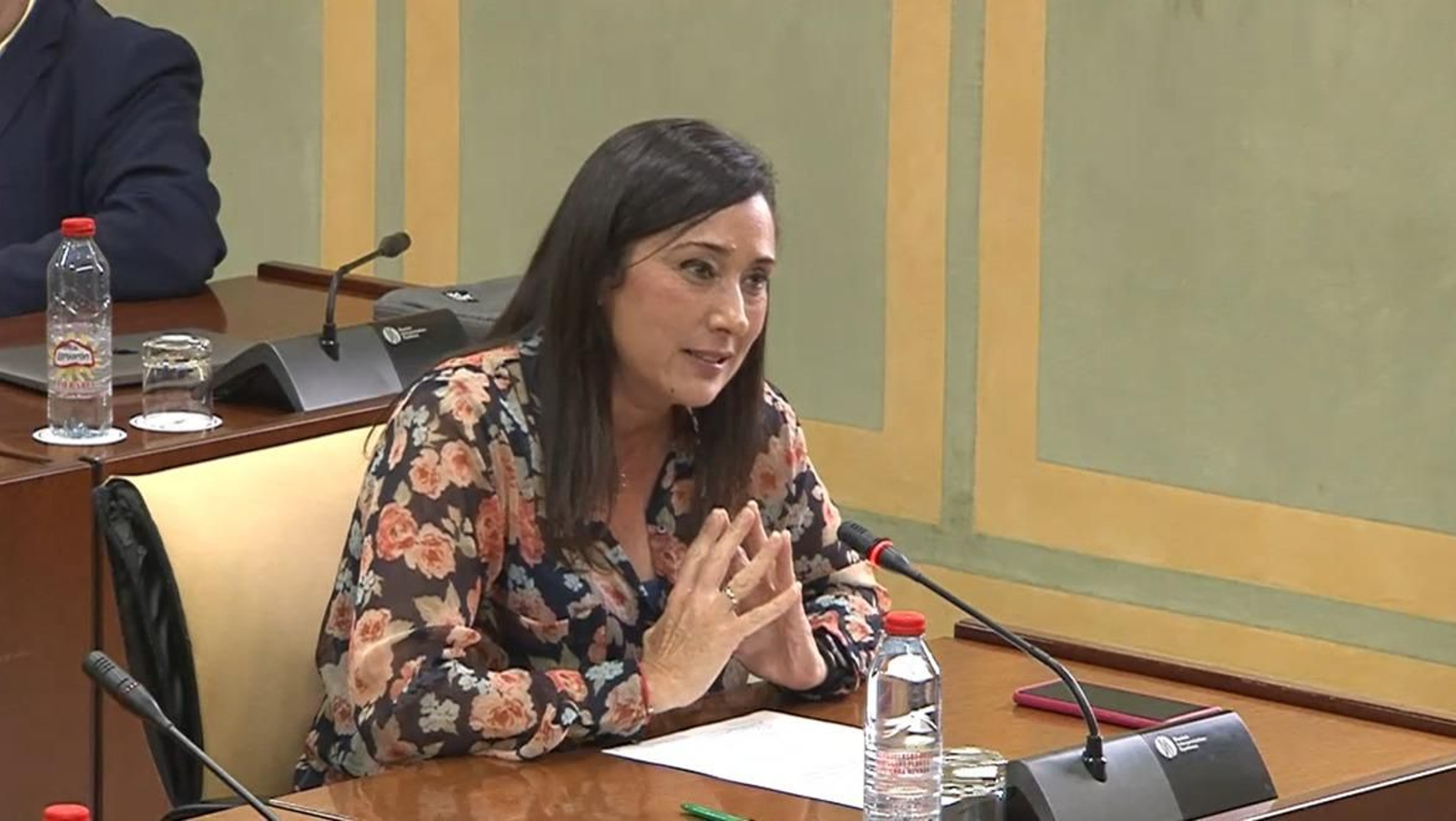 Arrabal, durante la Comisión de Justicia en el Parlamento andaluz.