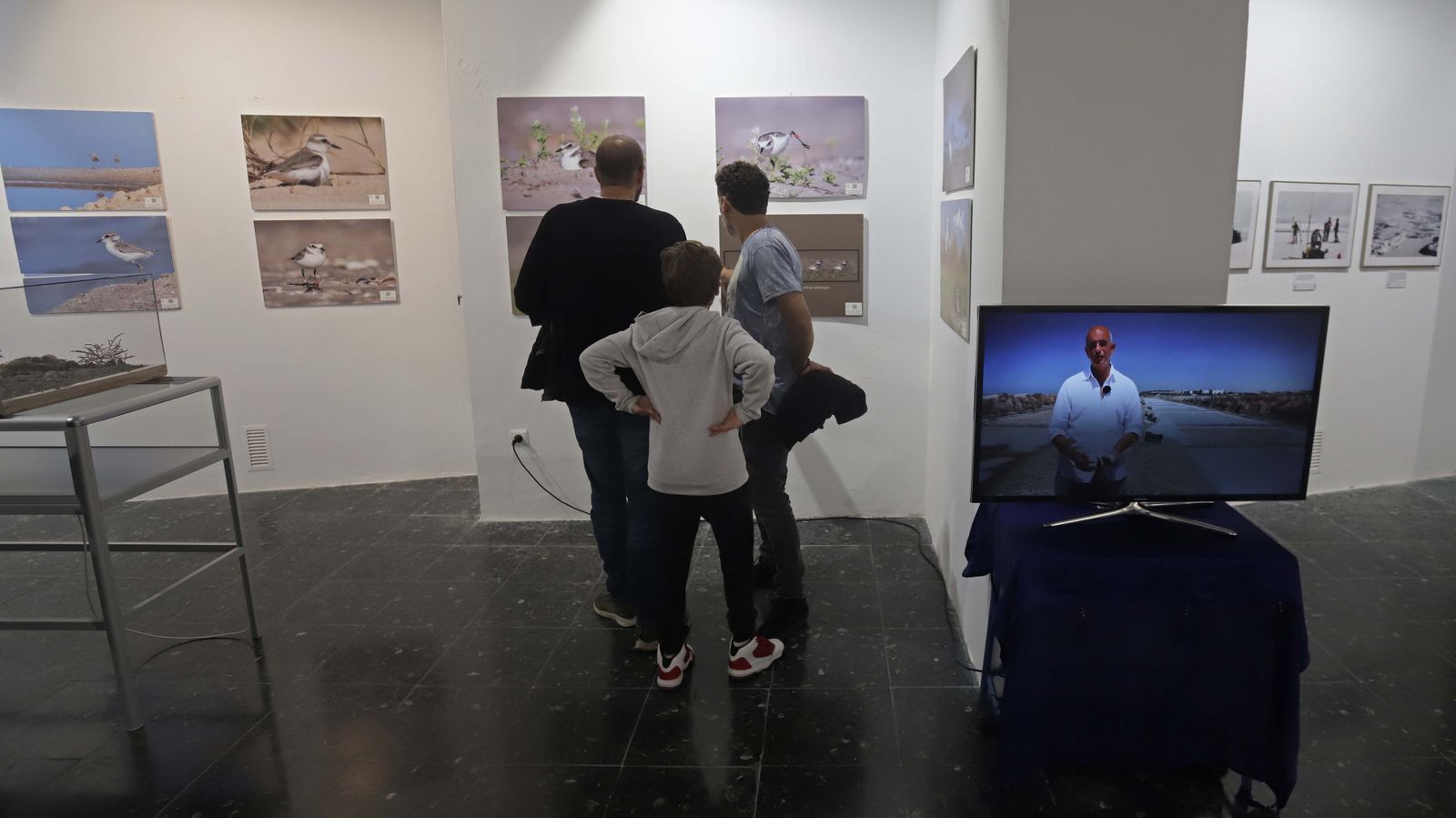 Fotos de las exposiciones de la Galería Manolo Ales en La Línea