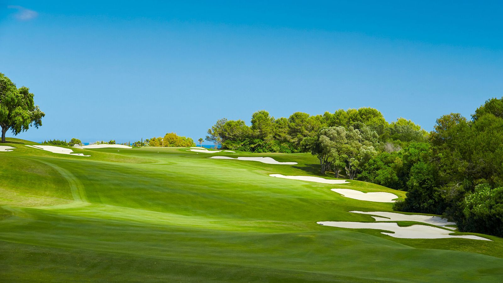 San Roque dispone de 9 campos de golf, entre los cuales está Real Valderrama,