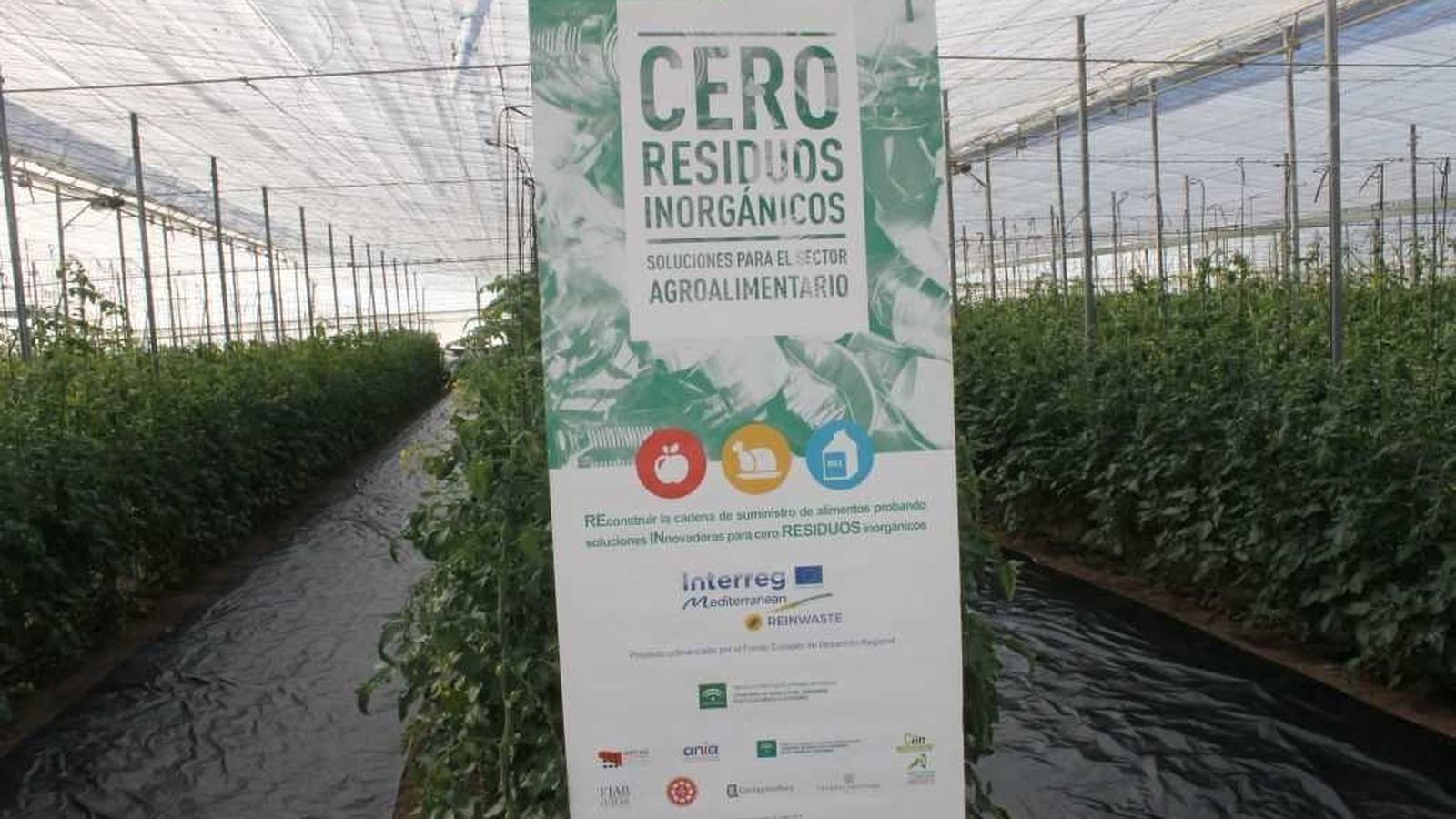 Uno de los pilares es trabajar actividades concienciación y divulgación enfocadas al sector.