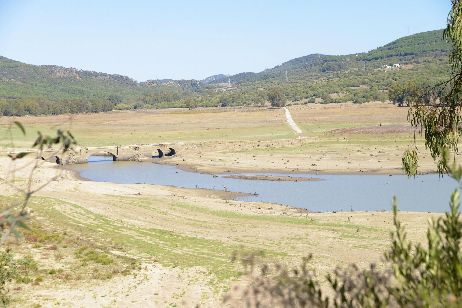 El embalse de Charco Redondo, en Los Barrios, a primeros de octubre.