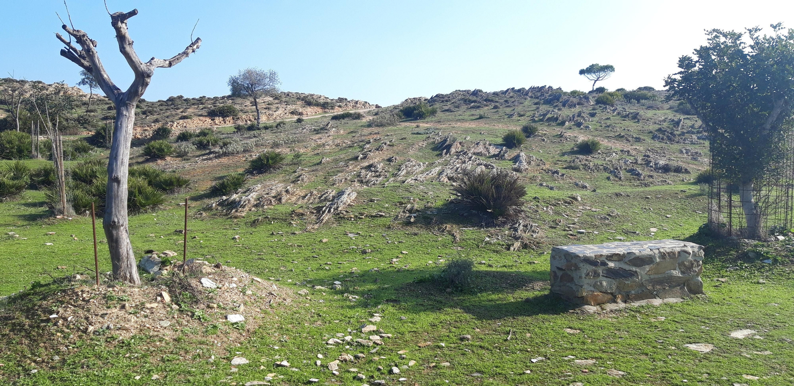 Antes de volver al núcleo urbano, hay que atravesar un parque en las afueras.