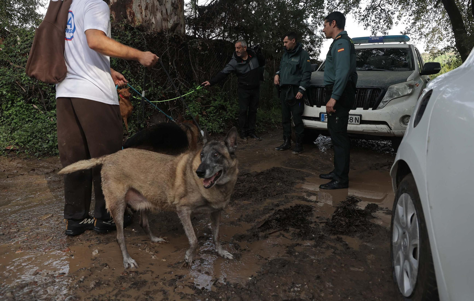 Fotos de la inundaciones en San Pablo de Buceite por la DANA