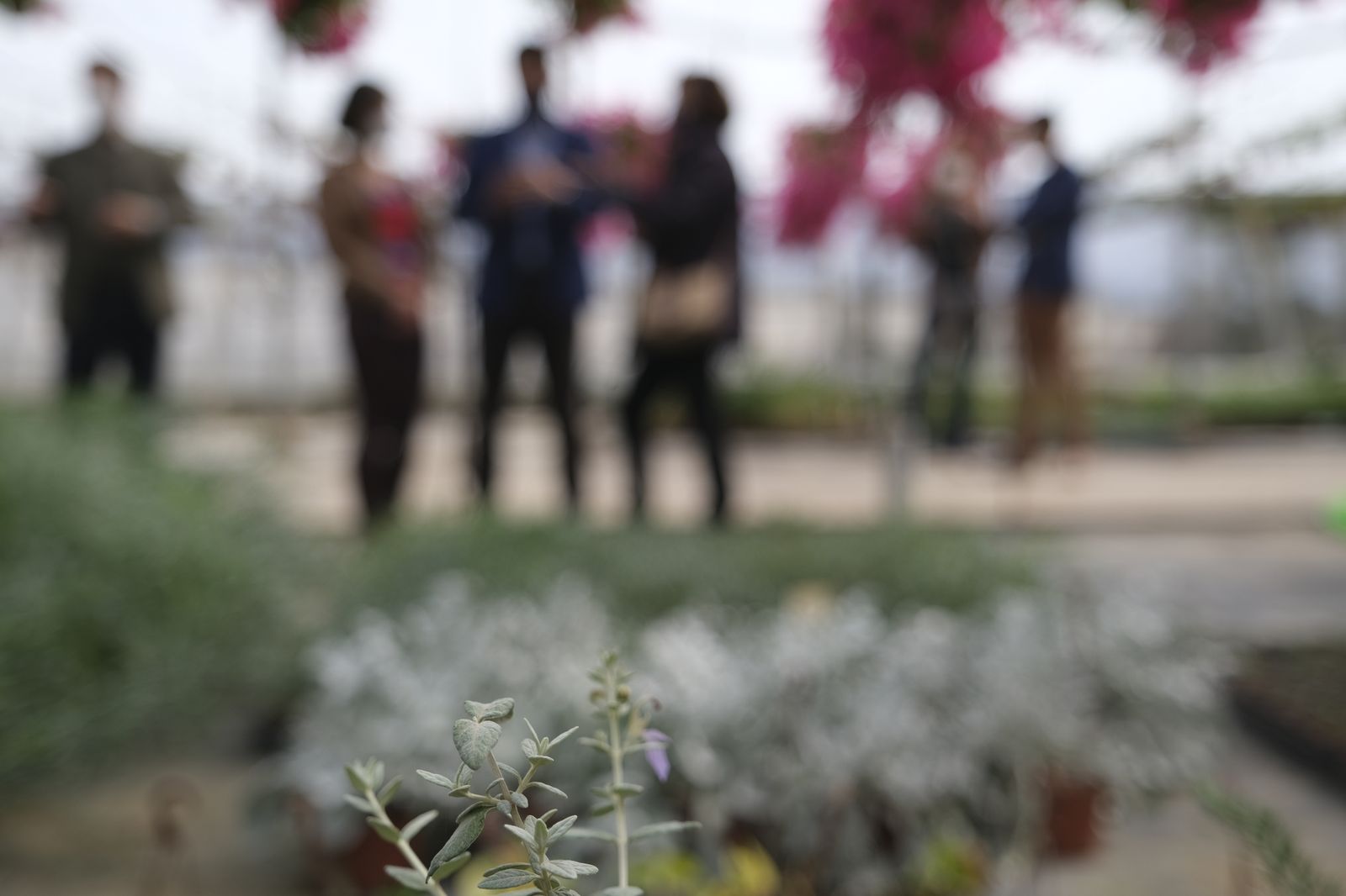 Fotogalería de la visita al vivero municipal de Almería.