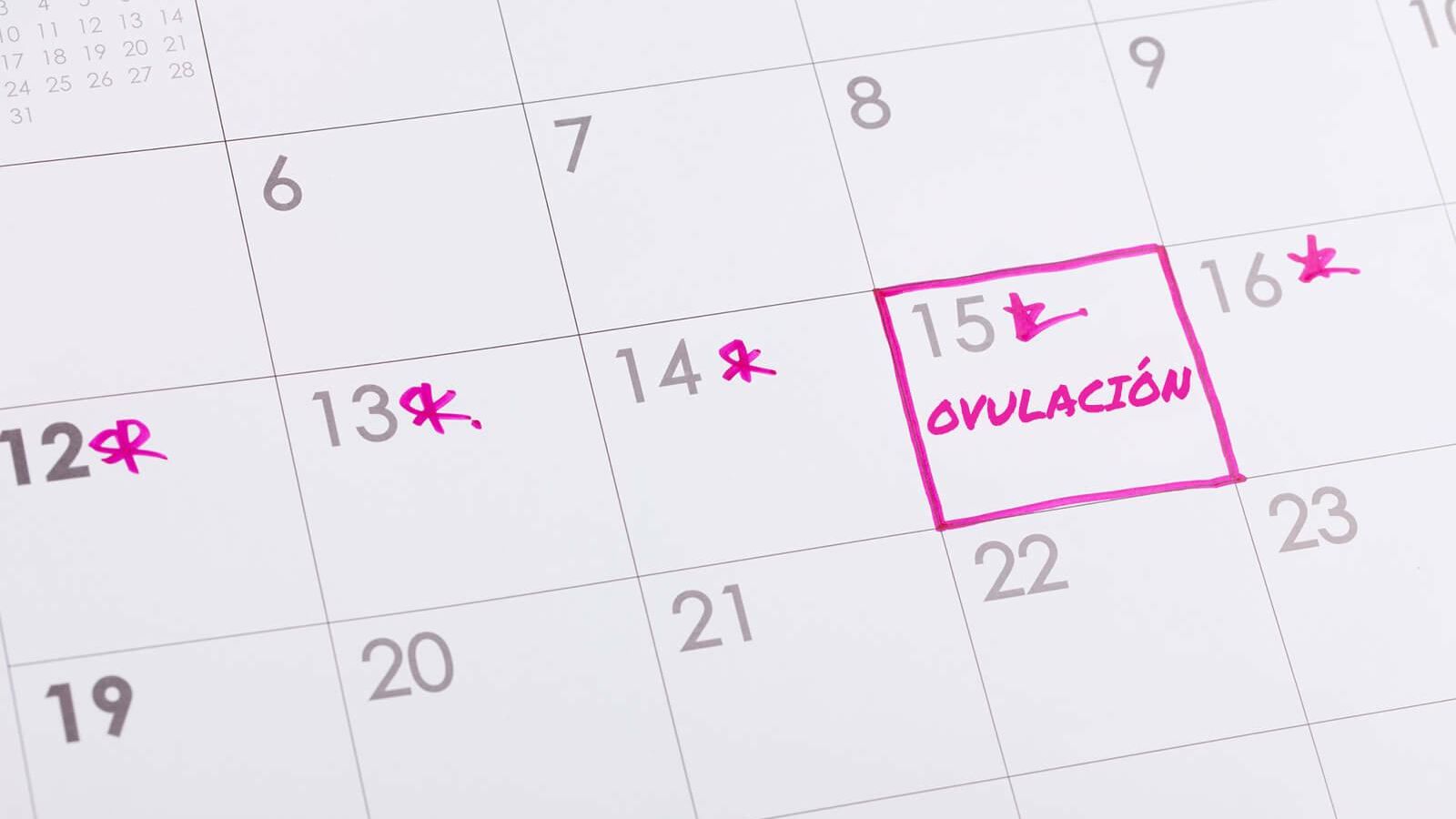 Calendario señalado con el día de ovulación