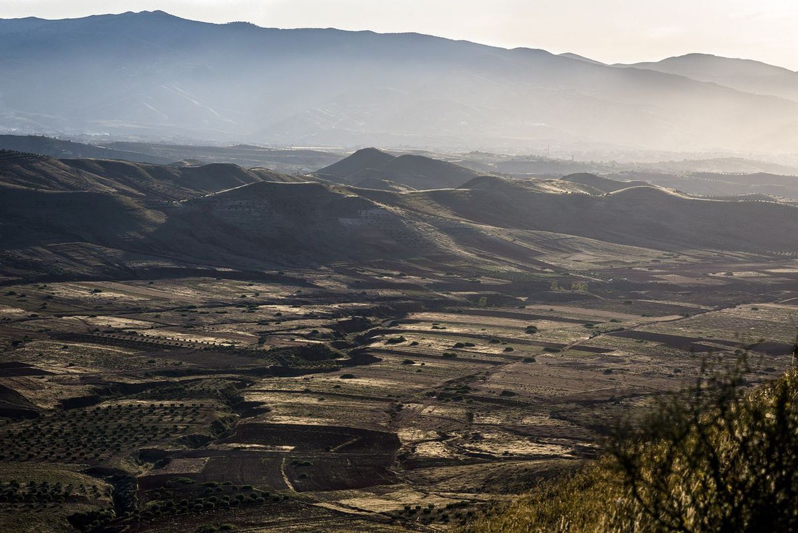 Llanuras montañosas de Annual