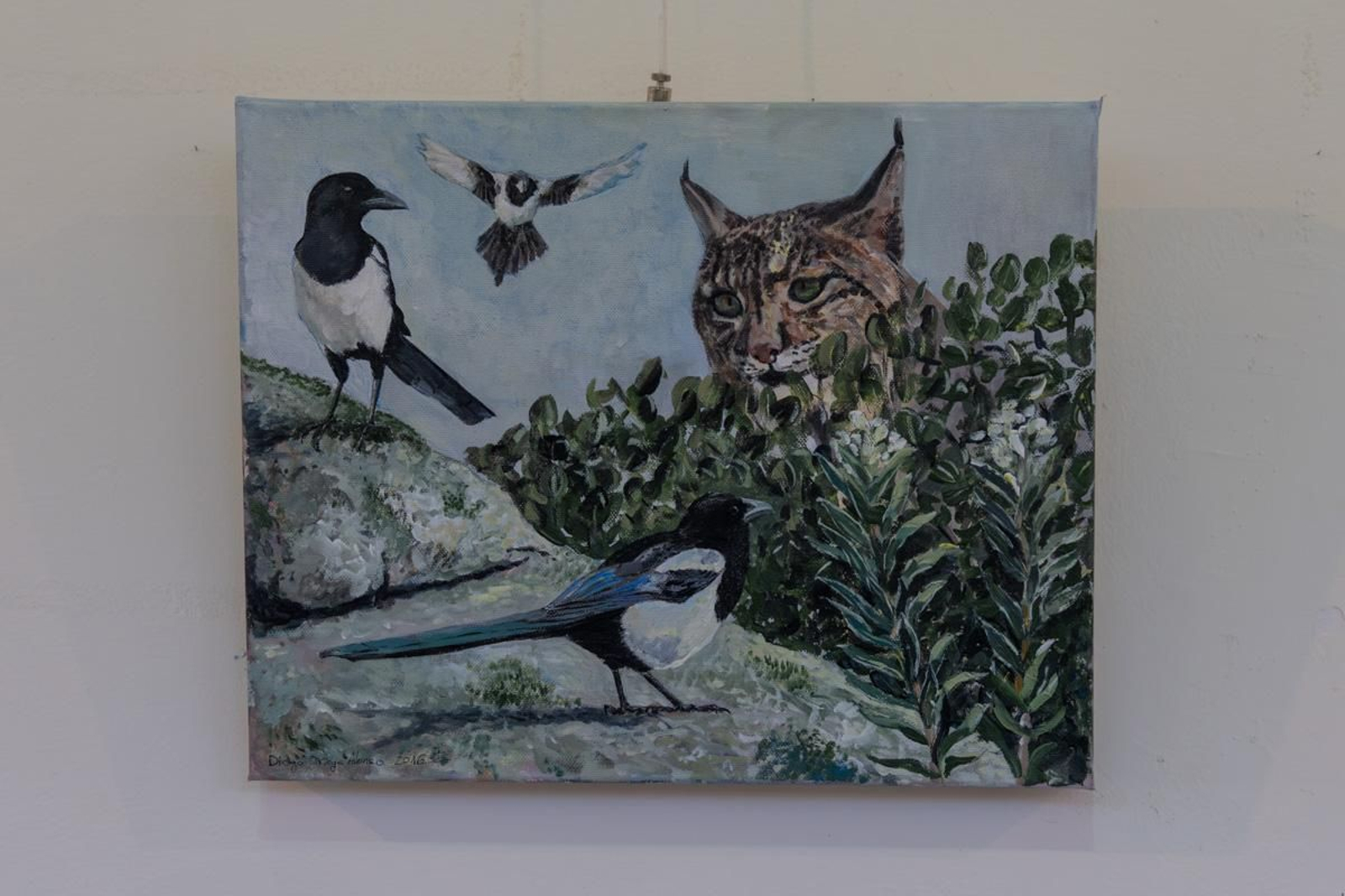 Exposición Los pinceles del lince ibérico, en imágenes