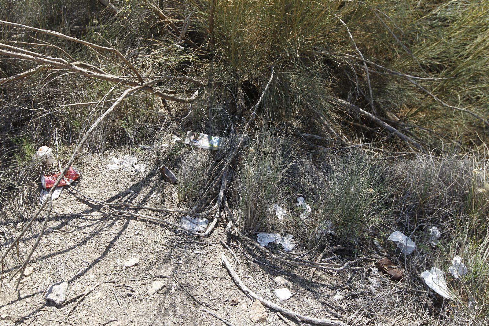Fotogalería basura en el Desierto de Tabernas